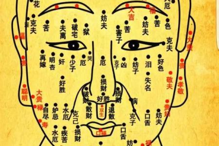 颧骨面相 颧骨面相算命图解