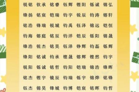 中午出生的属猴男孩取什么名，宜用什么字姓名