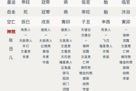 八字5两9特点介绍，八字5两9的含义及其解析