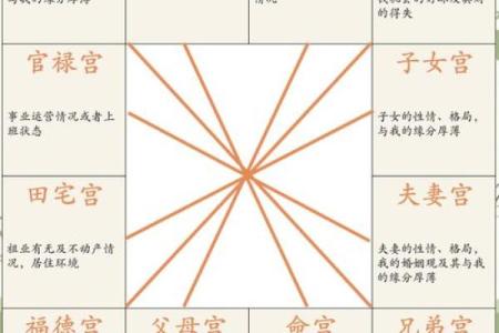 紫薇斗数全集九星