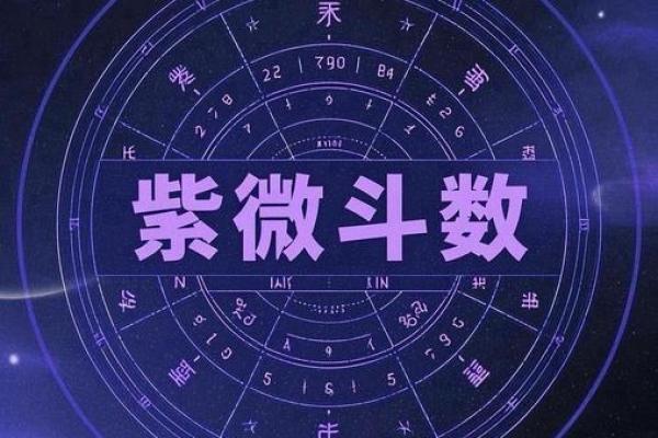 紫薇斗数看谁漂亮