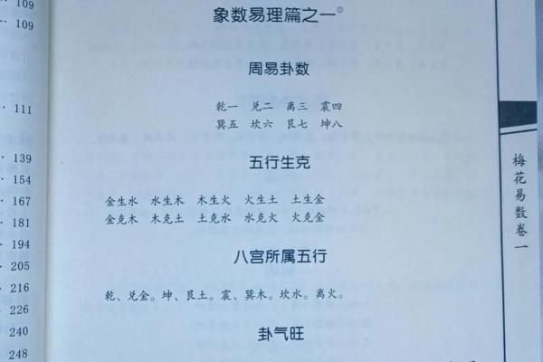 梅花易数算命入门书籍