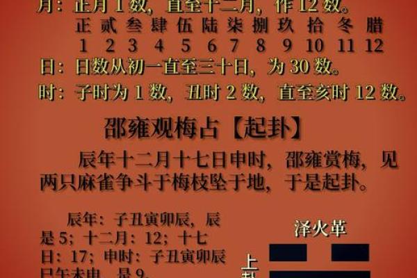 梅花易数算命入门书籍