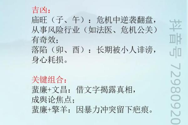 紫微斗数之田宅宫与诸星，巨门星在田宅宫是什么意思？