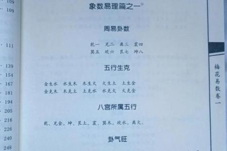 梅花易数算命入门书籍