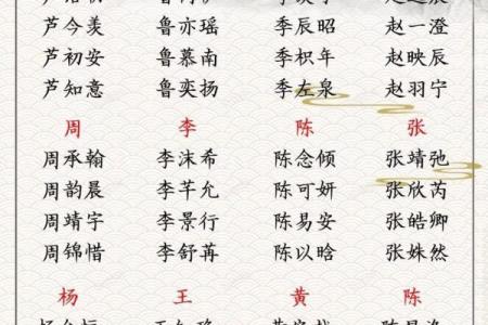 2019年3月21号子时出生的男孩应该起什么样的名字姓名