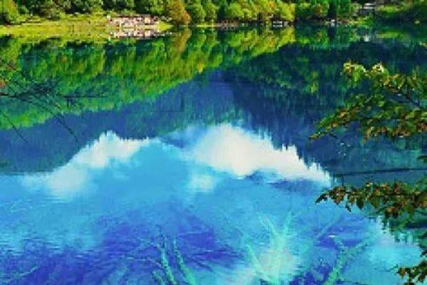 武夷山东改名,算命说是龙子