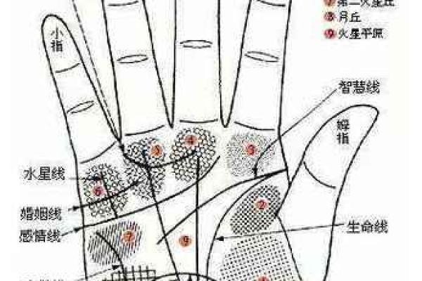 手相流年图算命——百发百中