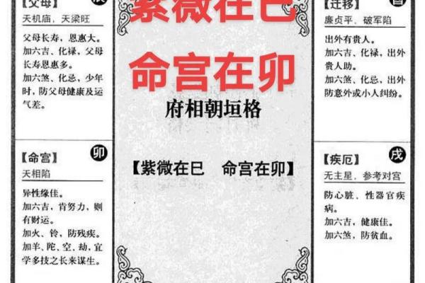 紫薇斗数亥宫 紫薇斗数亥宫