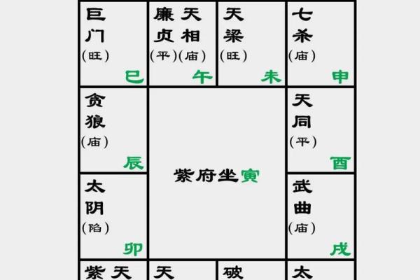 紫薇斗数亥宫 紫薇斗数亥宫