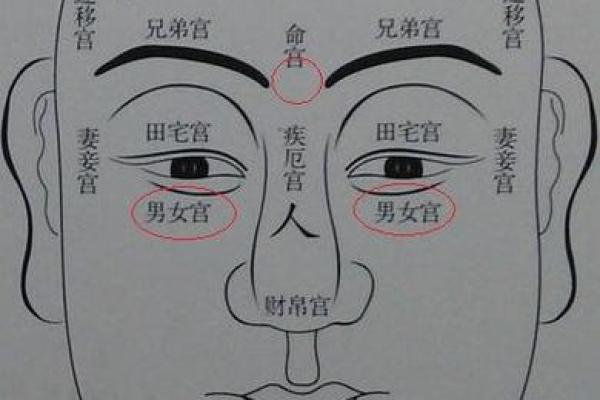 面相算命图解十二宫之：命宫