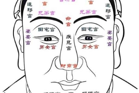 胎记算命胎记的位置与命运