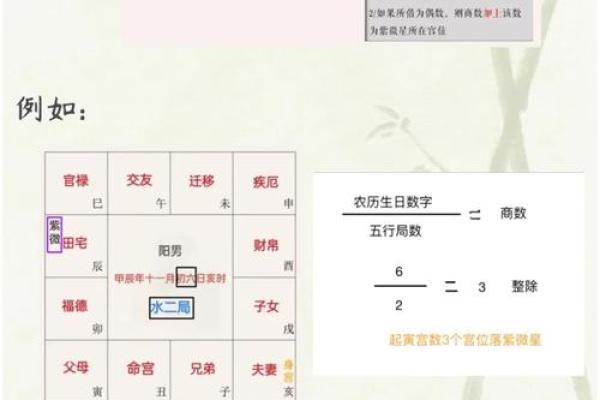 紫薇斗数免费详细排盘