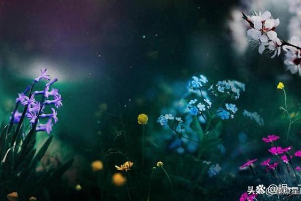 苏珊米勒每日星座运势03.13