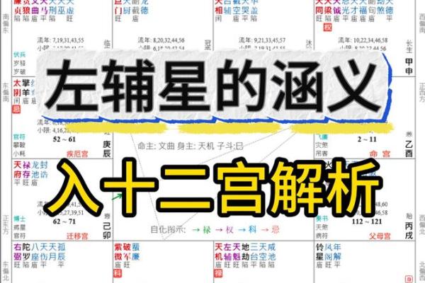 紫薇斗数欧美篇