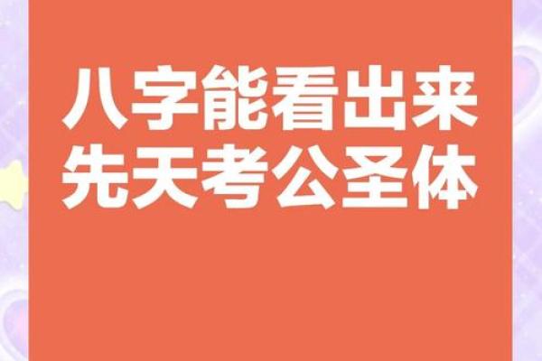 八字公务员 八字公务员