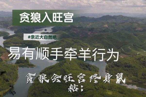 紫薇斗数贪狼星性