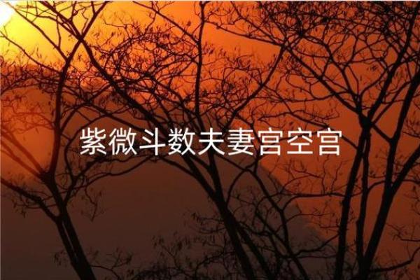 紫薇斗数福德宫空宫破碎