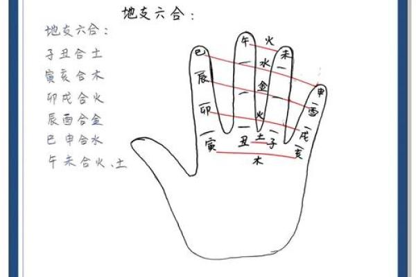 八字地支相冲分析与处理技巧