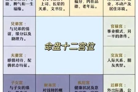 紫薇斗数什么宫最重要
