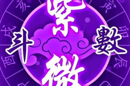 紫薇斗数贪狼星性
