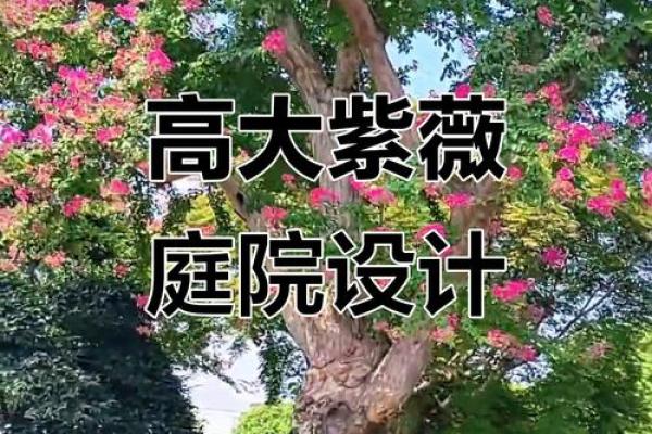 紫薇斗数如何看住别墅