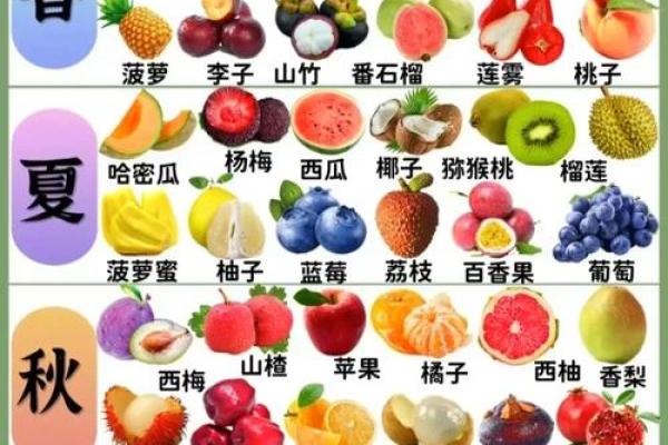 十二星座水果