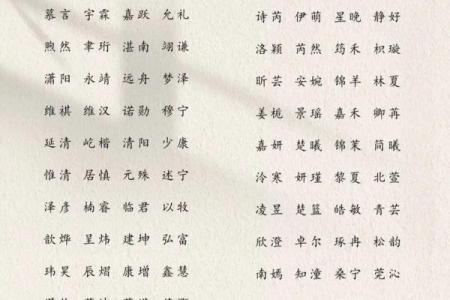 2019年3月29号丑时出生的男孩应该起什么样的名字姓名