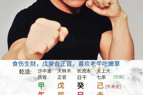 八字怎样看财官印食伤