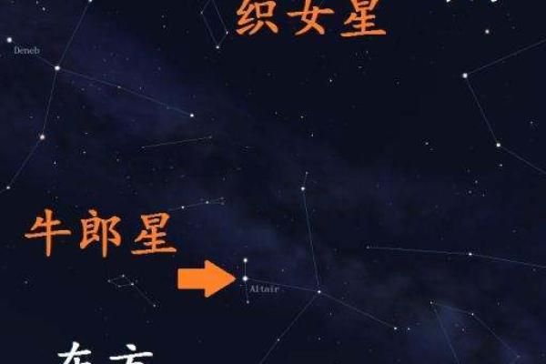 织女星属于什么星座