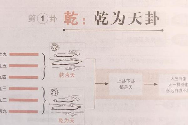乾卦八字命理解析