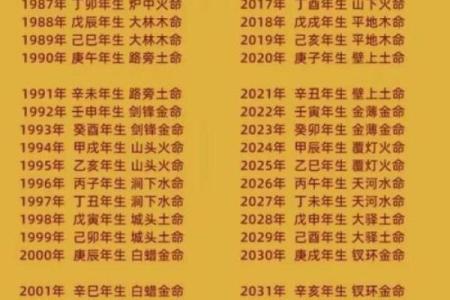 八字命理 2024年农历十二月初九的孩子命运详解
