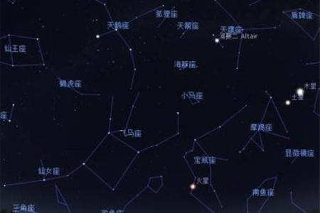 织女星属于什么星座