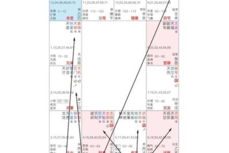 紫微斗数之迁移宫与诸星，天相星在迁移宫是什么意思？