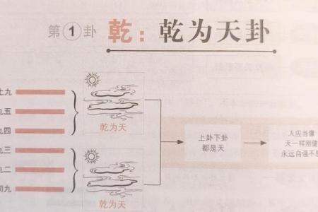 乾卦八字命理解析