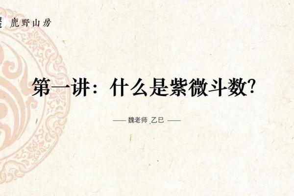 紫微斗数讲座 中州派紫微斗数初级讲义？