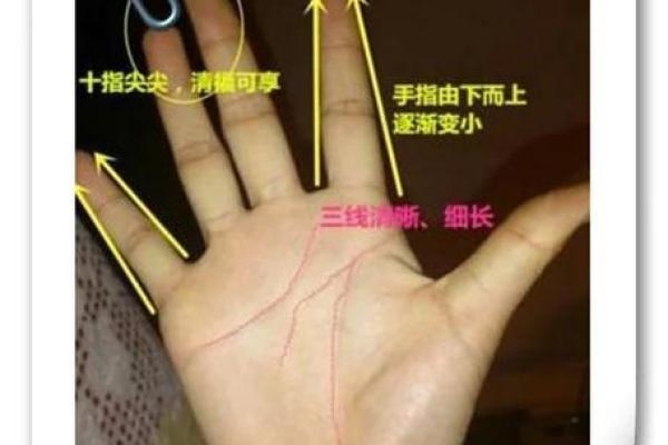 女生算命看左手吗