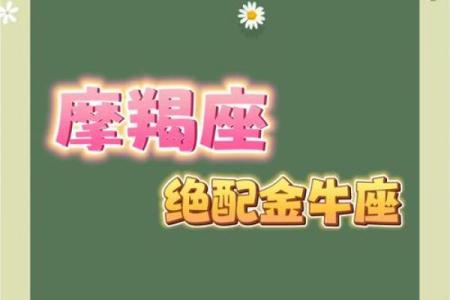 摩羯座与什么星座最合适 摩羯座与什么星座最合不来