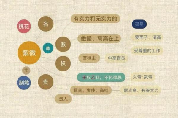 紫薇斗数命主星和身主星