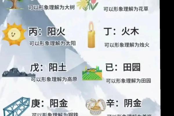 国学易经四柱八字算命