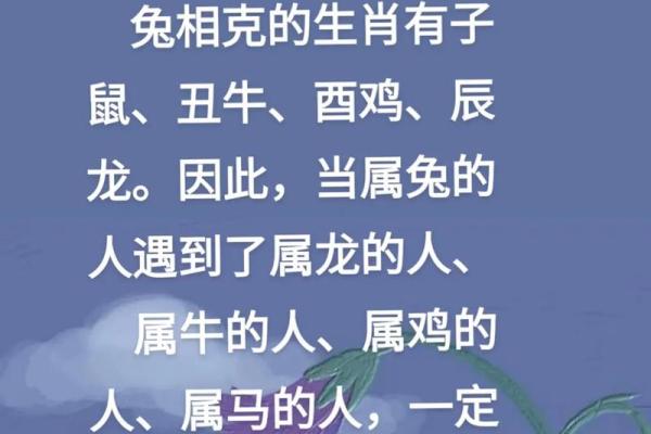 鼠马的八字不合