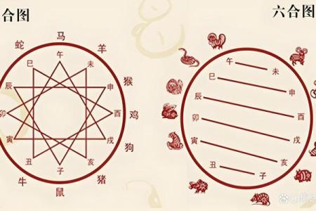 属鼠和属狗的八字合不合得来,属狗的跟属鼠的合财吗