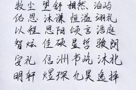 2019年3月16号酉时出生的男孩要怎么起名字姓名