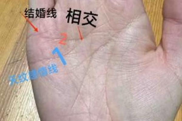 看手相算命：第二课 婚姻感情