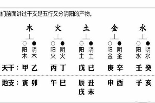阴阳相生的八字特点 八字特征阴阳共存