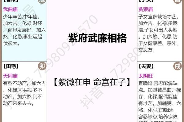 紫薇斗数里青龙是什么意思