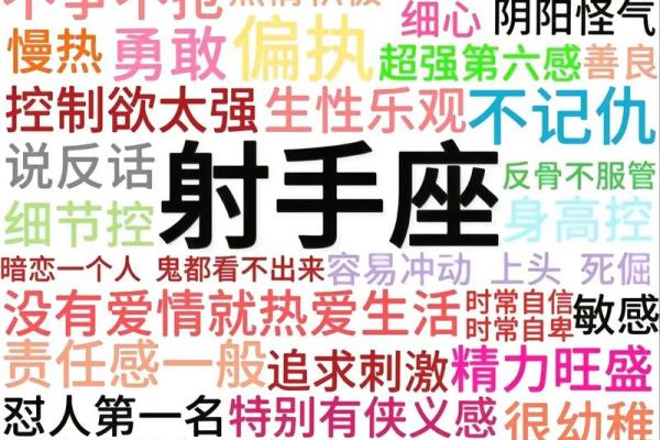 什么星座最疼射手座