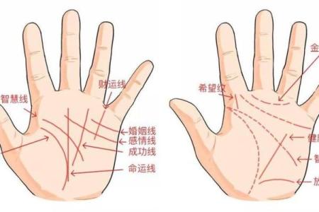 免费拍照看手相算命在线