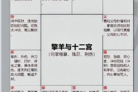 看紫薇斗数的步骤