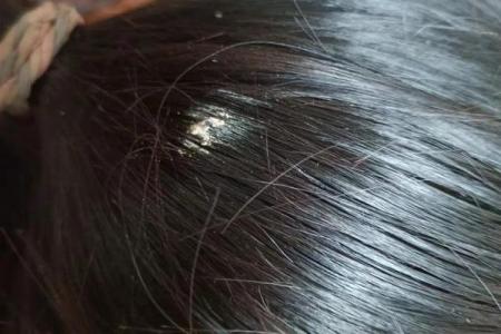 鸟拉屎在身上算命